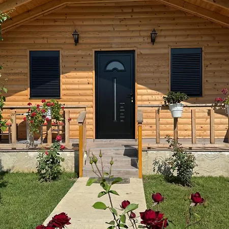 Dimal Berat Pashalli