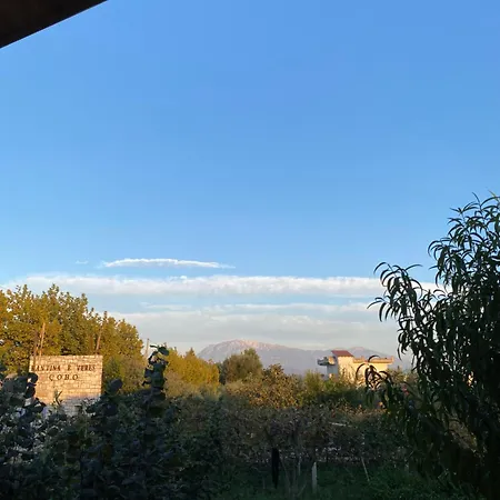 Dimal Berat * Pashalli