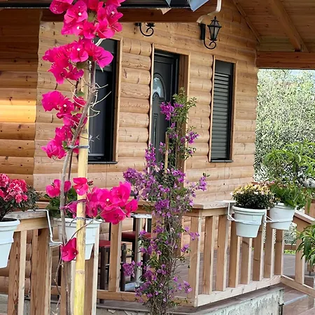 Hébergement de vacances Dimal Berat *