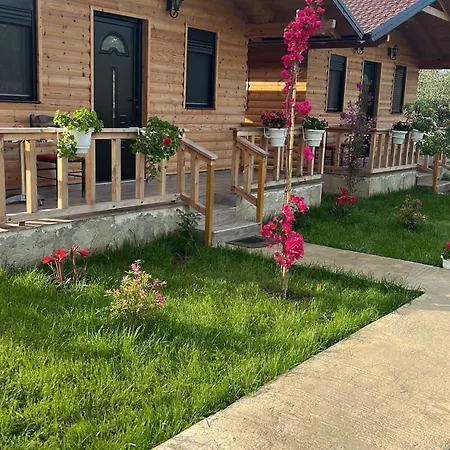 Dimal Berat Pashalli