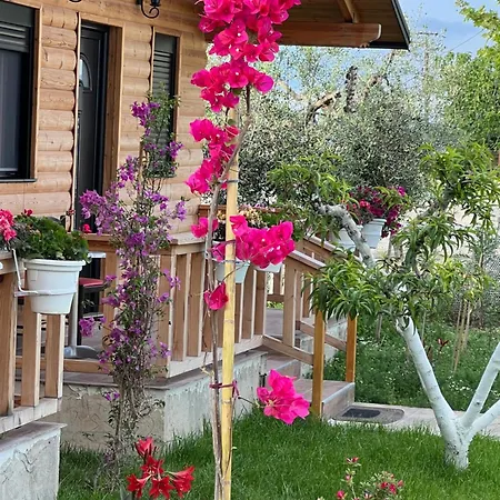 Dimal Berat Дом отдыха