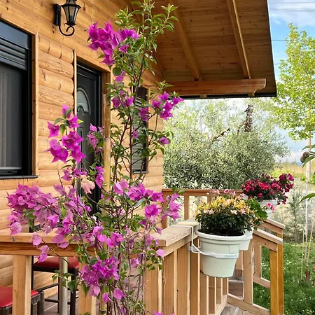 Dimal Berat Hébergement de vacances Pashalli