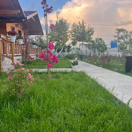 Dimal Berat Pashalli