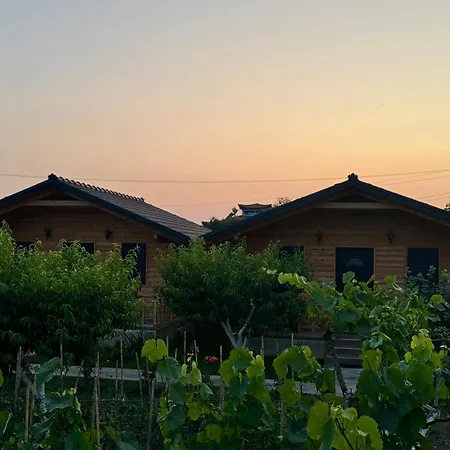 Dimal Berat Hébergement de vacances Pashalli